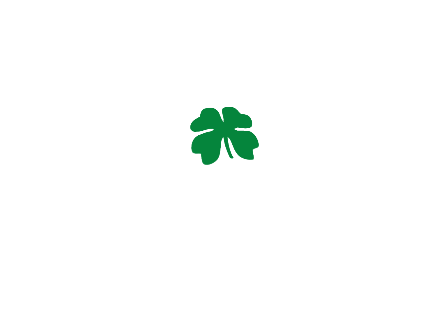 ottawacarcleaning.com